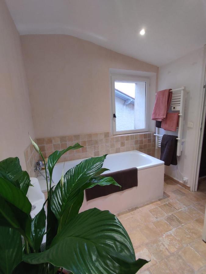 Derriere L'Eglise Apartment แซงต์-ปอล-เดอ-วองส์ ภายนอก รูปภาพ